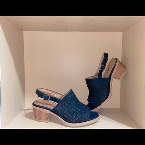 CLOUDWALKERS by Avenue Black Mule